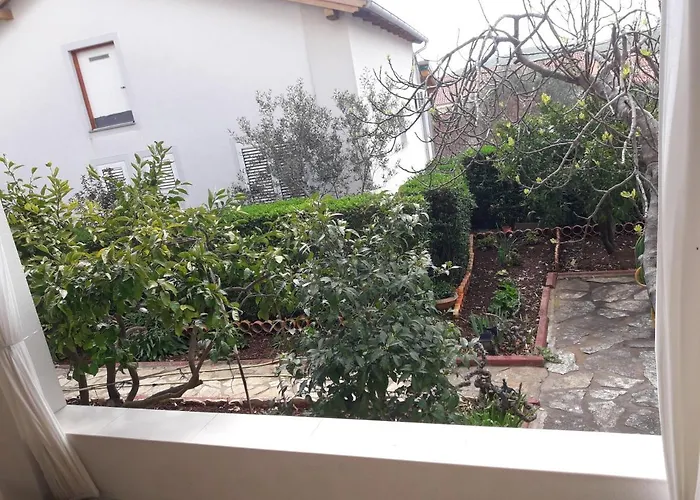 Marijan ピロヴァッツ