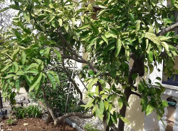 アパート Marijan